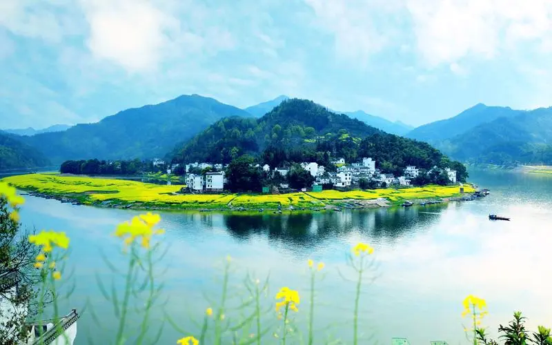 创新智慧